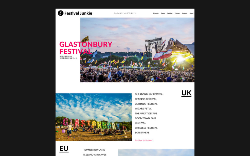 Festival Junkie Concept